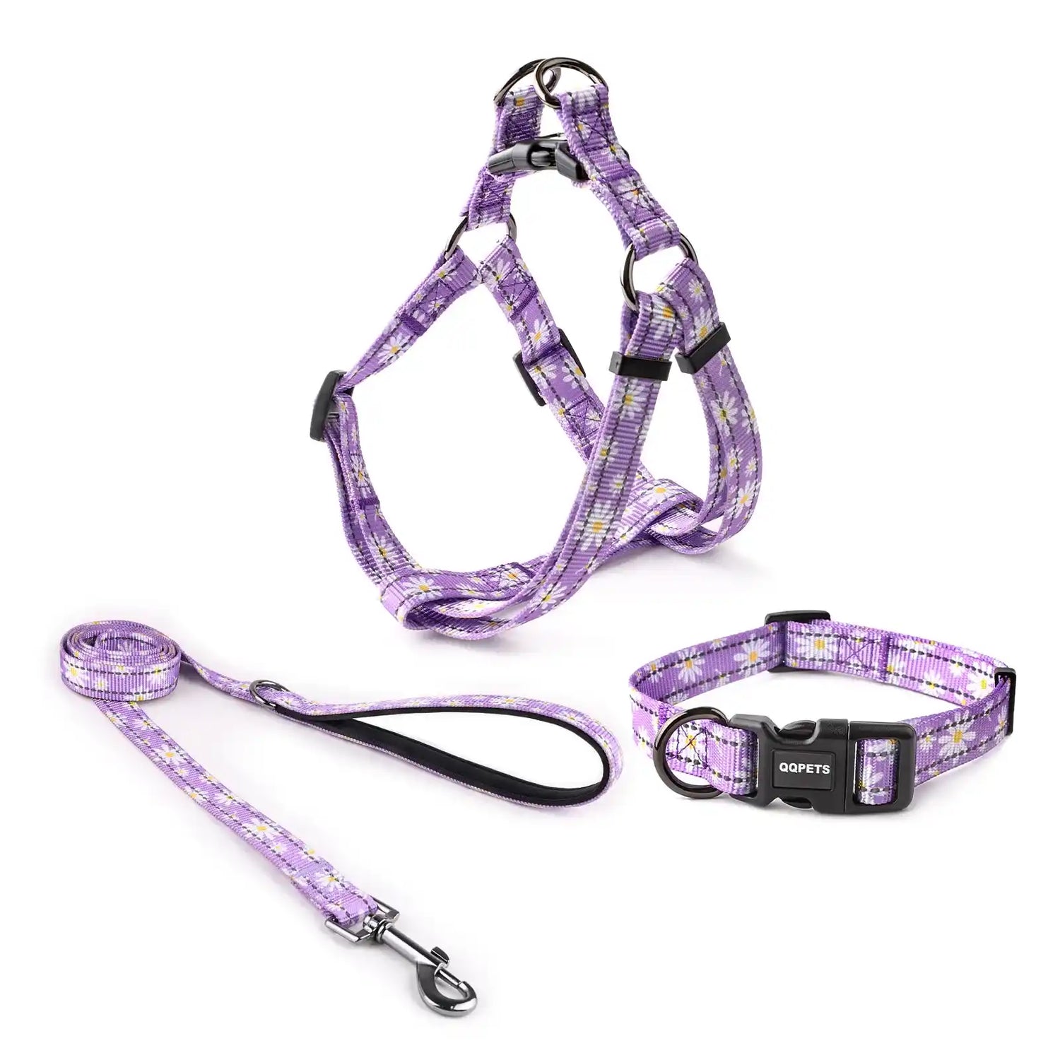 Collars and Leashes