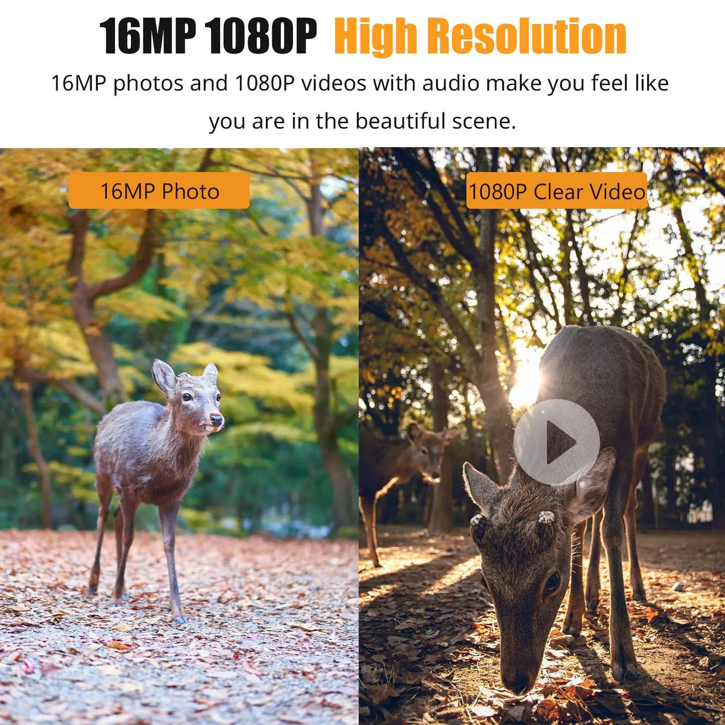 1080P Hunting Camera 2.0in LCD 16MP Infrared Night Vision Mobile Monitoring IP66 Waterproof Trail Camera trail camera